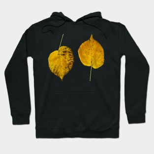 Autumn Maple Leaf Hoodie